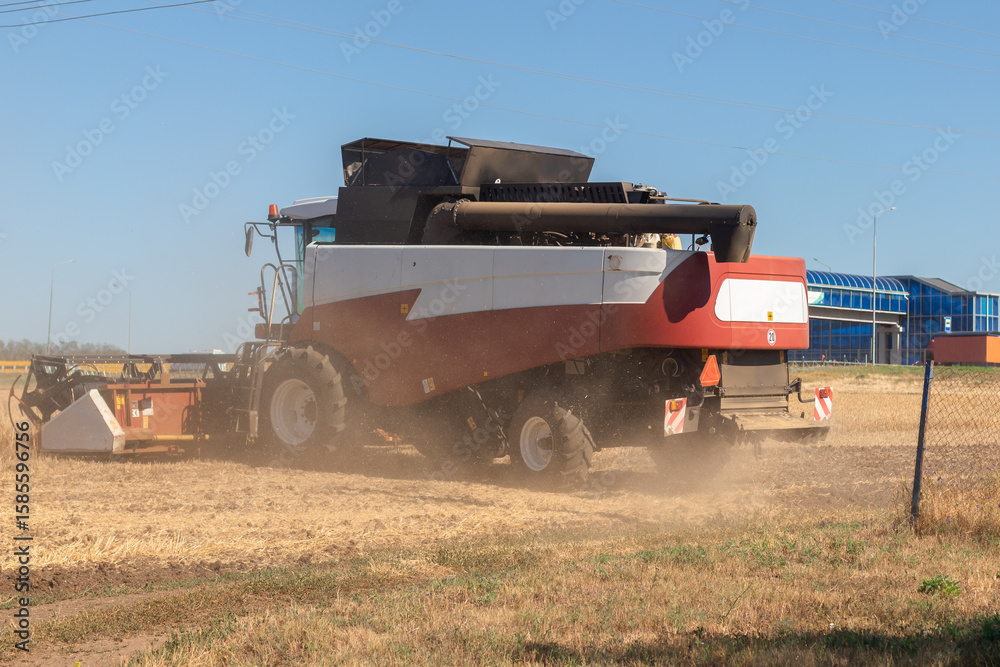 Fototapeta premium Wheat harvesting in the summer. harvester working in the field