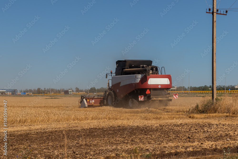 Fototapeta premium Agricultural machinery works in the field in summer