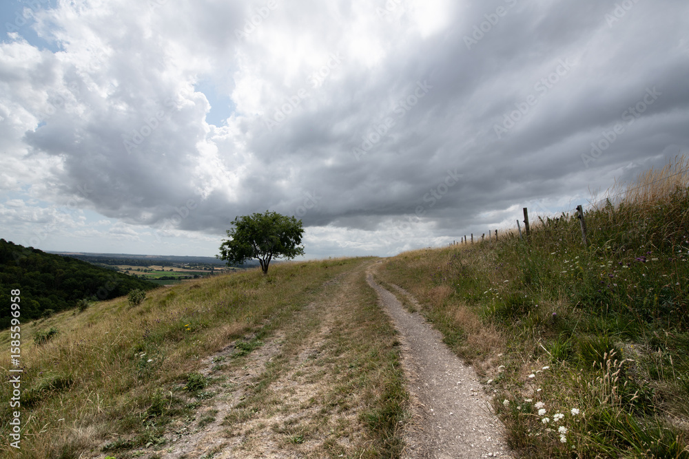 Fototapeta premium A peaceful rural scene showing a hillside path under a cloudy sky, with open views across the countryside.