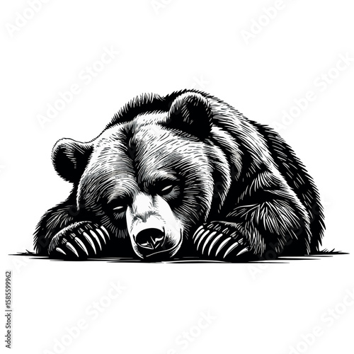 Monochromatic Illustration of a Grizzly Bear Resting Calmly, Face Down with Paws Extended