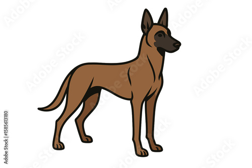 Vector Illustration of a Strong Belgian Malinois Dog