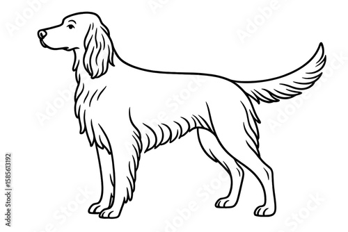 Vector Illustration of an Elegant Irish Setter Dog