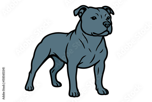 Vector Illustration of Muscular Staffordshire Bull Terrier