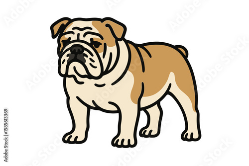 Vector Illustration of Stocky Bulldog with Wrinkled Face and Sturdy Stance