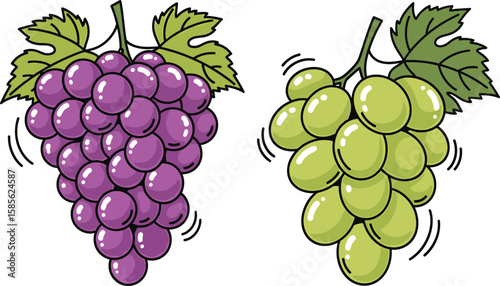 Illustration of red and green grape bunches with leaves.