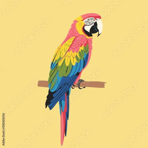 Tropical bird graphic print design. Tropical vibes t shirt artwork. Summer vibes artwork. Macaw paradise design.
