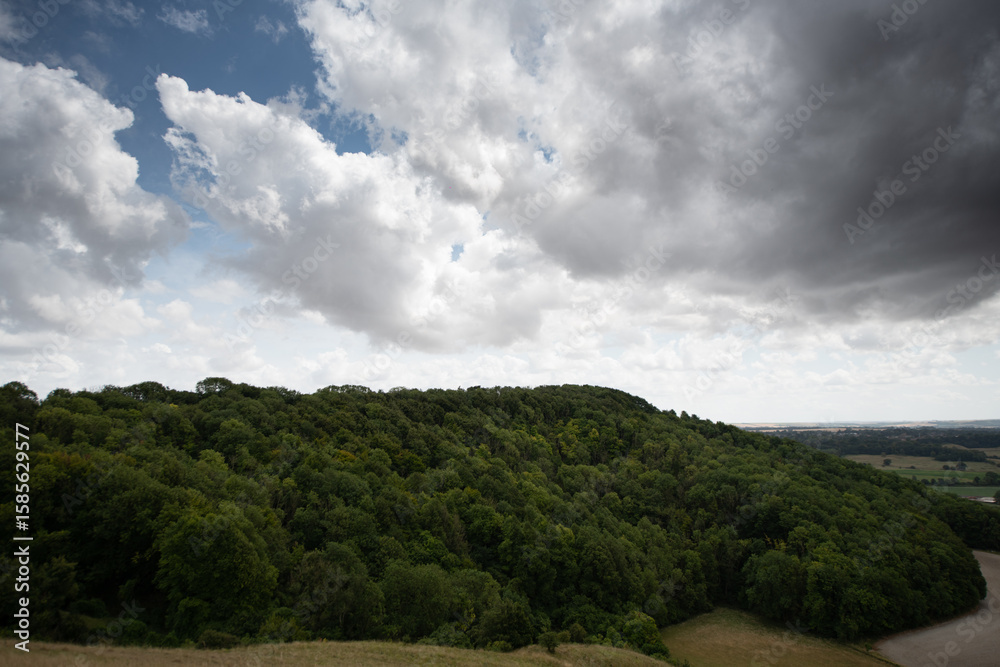 Obraz premium A peaceful rural scene showing a hillside path under a cloudy sky, with open views across the countryside.