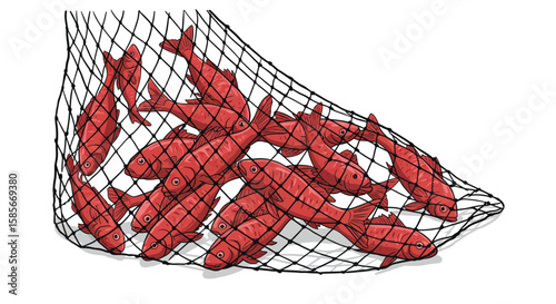 Illustration of red fish in a fishing net isolated on a clean white background