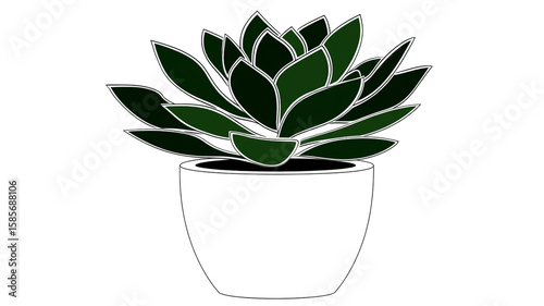Succulent Plant in Pot Dark Green Foliage Isolated Potted Plant Houseplant