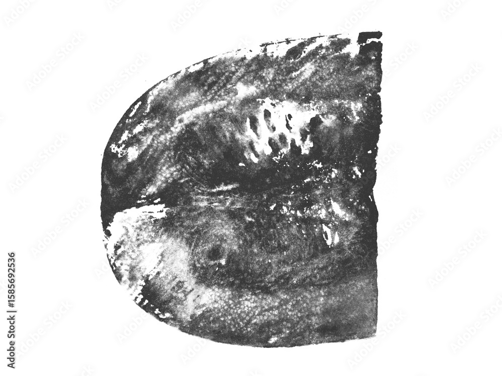 Fototapeta premium Monochrome hand-drawn print of squash slice with detailed natural texture. Black ink vegetable stamp with visible pulp, skin patterns. Eco friendly design, food prints, botanical art, vegan visuals