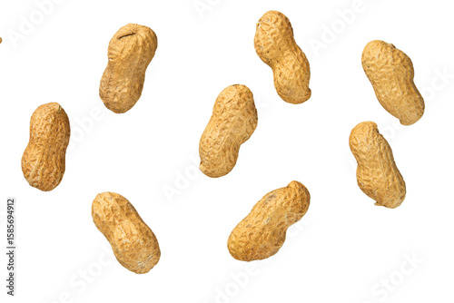 Group of Raw Peanuts in Shell isolated