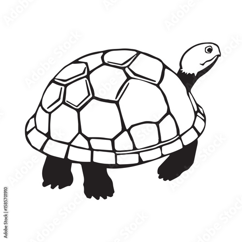 A black and white illustration of a turtle with a patterned shell isolated on white background
