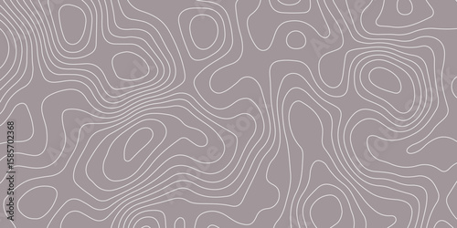 Abstract topographic contour pattern with smooth white lines on a muted gray background. Ideal for backgrounds, wallpapers, or design projects needing a modern geographic or elevation-themed texture.