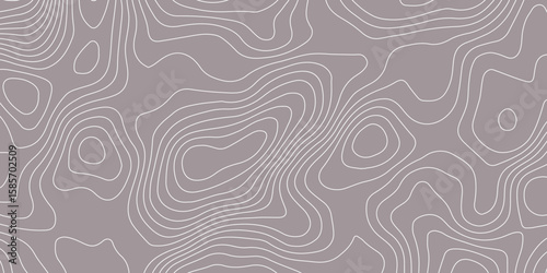 Abstract topographic contour pattern with smooth white lines on a muted gray background. Ideal for backgrounds, wallpapers, or design projects needing a modern geographic or elevation-themed texture.