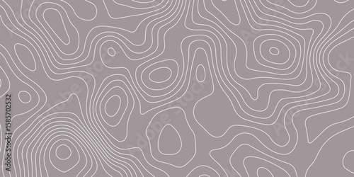 Abstract topographic contour pattern with smooth white lines on a muted gray background. Ideal for backgrounds, wallpapers, or design projects needing a modern geographic or elevation-themed texture.