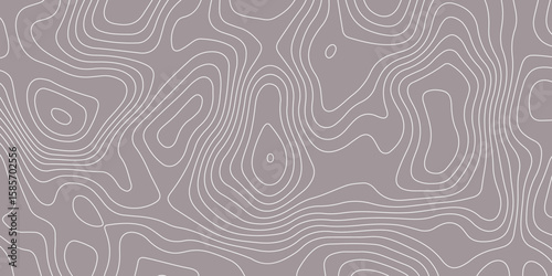 Abstract topographic contour pattern with smooth white lines on a muted gray background. Ideal for backgrounds, wallpapers, or design projects needing a modern geographic or elevation-themed texture.