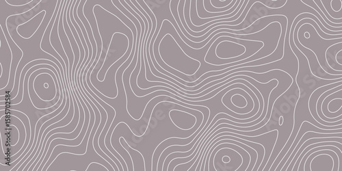 Abstract topographic contour pattern with smooth white lines on a muted gray background. Ideal for backgrounds, wallpapers, or design projects needing a modern geographic or elevation-themed texture.