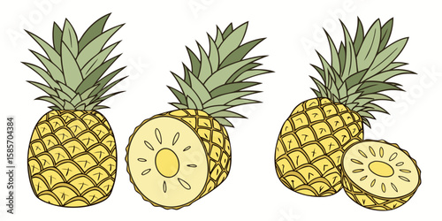 vector illustration of pineapple
