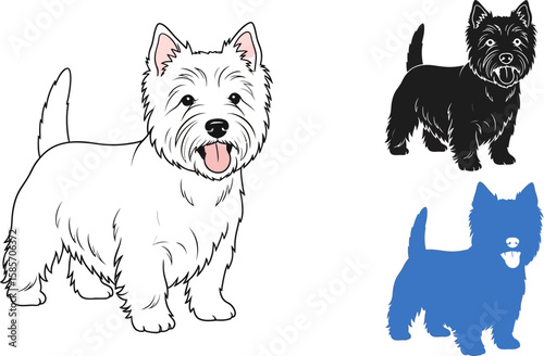 Three west highland white terrier dogs in different styles and colors