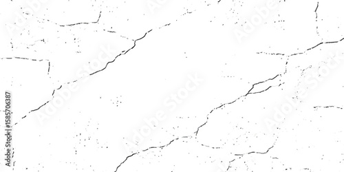 A close-up, high-contrast, black and white photograph showcasing a network of fine, intricate cracks on a textured surface, resembling dry earth or aged paint.