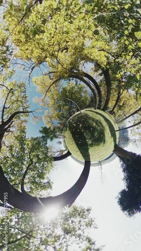 Immerse yourself in the beauty of nature with this breathtaking 360-degree video of a lush green forest. The video takes you on a journey through the forest, capturing the vibrant colors of the trees