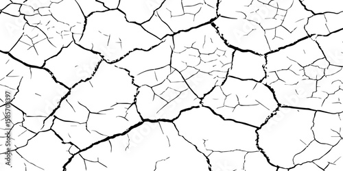 "A high-contrast, black and white close-up of a cracked surface, resembling dry earth or old paint, with irregular polygonal segments and fine lines spreading across the frame."