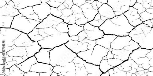 "A high-contrast, black and white close-up of a cracked surface, resembling dry earth or old paint, with irregular polygonal segments and fine lines spreading across the frame."