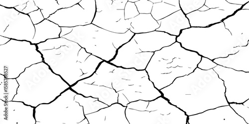 "A high-contrast, black and white close-up of a cracked surface, resembling dry earth or old paint, with irregular polygonal segments and fine lines spreading across the frame."