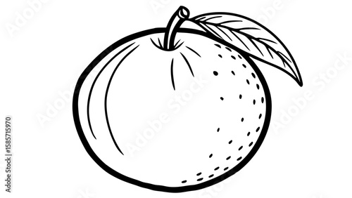 Illustration of a single orange with a leaf and stem in black and white outline drawing style isolated
