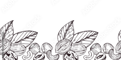 Seamless border of walnuts, hazelnuts, cashews, whole nuts, cracked nuts, leaves. All objects are hand-drawn with ink. Vector Illustration for Printing on Product Packaging, Store Window Design.