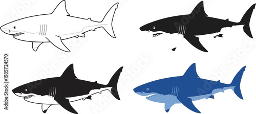 Collection of shark illustrations in outline silhouette and color variations