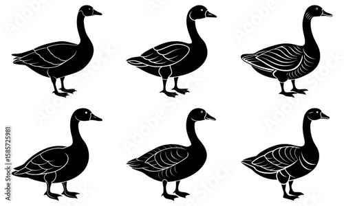 Six black geese with varying feather details standing in silhouette