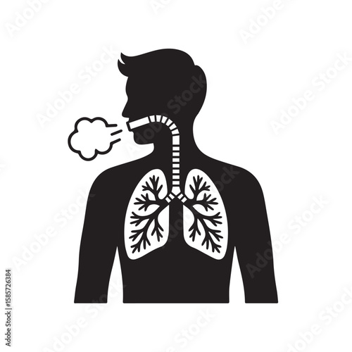 A silhouette of a persons upper body showing the lungs and trachea, symbolizing breathing and the respiratory system, isolated on white
