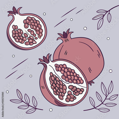 Pomegranate fruit and pomegranate vector illustration free online design download.