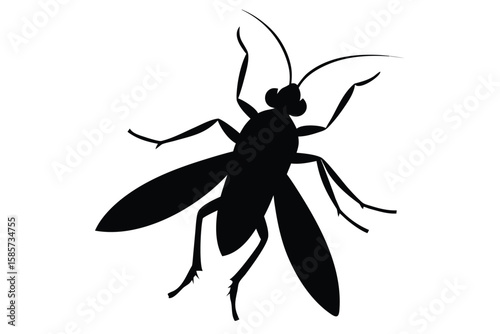Silhouette illustration of a backswimmer insect in water isolated on white background