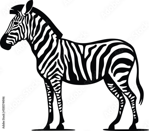 Zebra Silhouette with Stripes – Vector Illustration,  zebra vector illustration