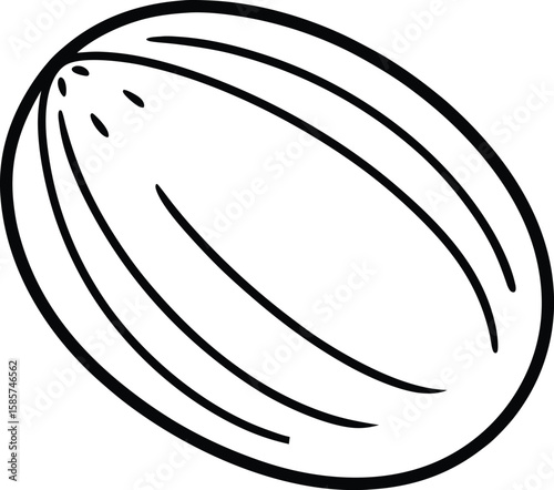 Whole nutmeg line art vector illustration simple design