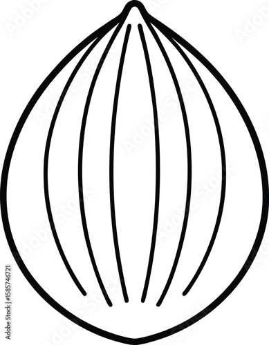 Whole nutmeg line art vector illustration simple design