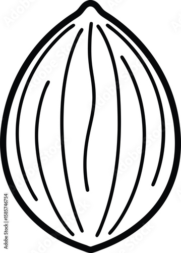 Whole nutmeg line art vector illustration simple design