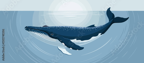 Whale Swimming in Calm Waters