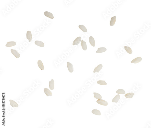 white rice on transparent background macro png