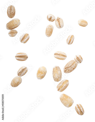 pearl barley on transparent background macro png