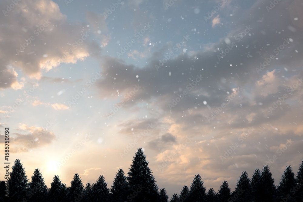 Fototapeta premium Snow falling on fir tree forest