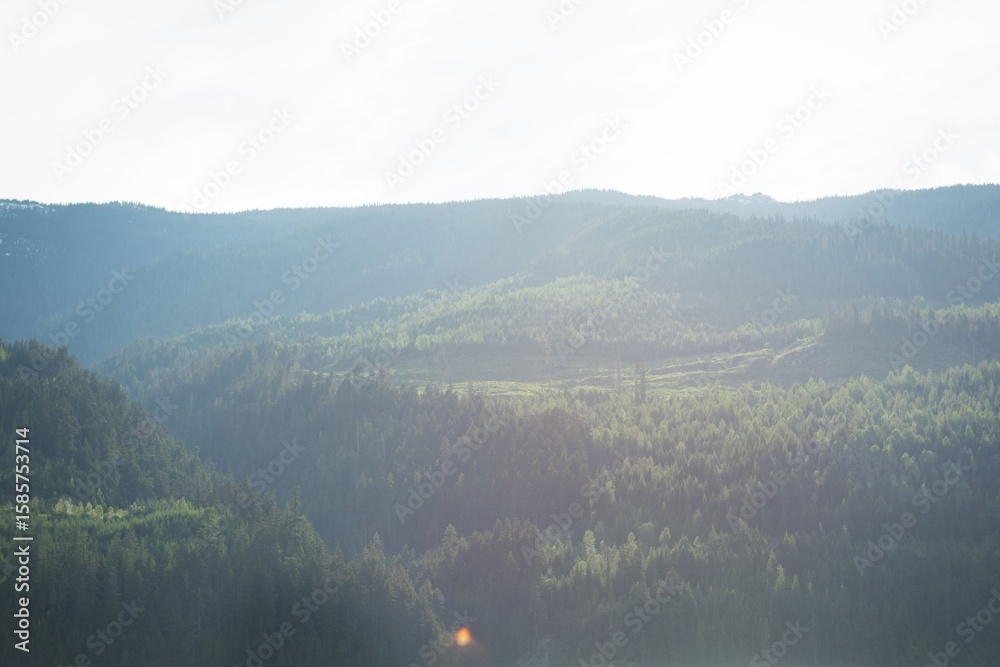 Naklejka premium Beautiful landscape on a sunny day