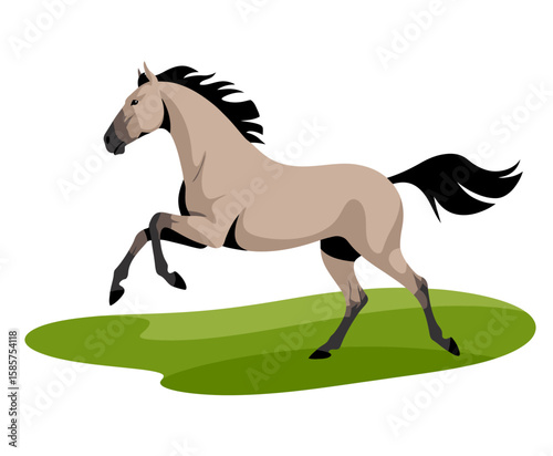 Horse Running in Field