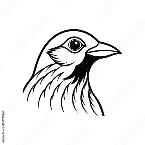 a thrush bird head line art silhouette vector illustration on white background