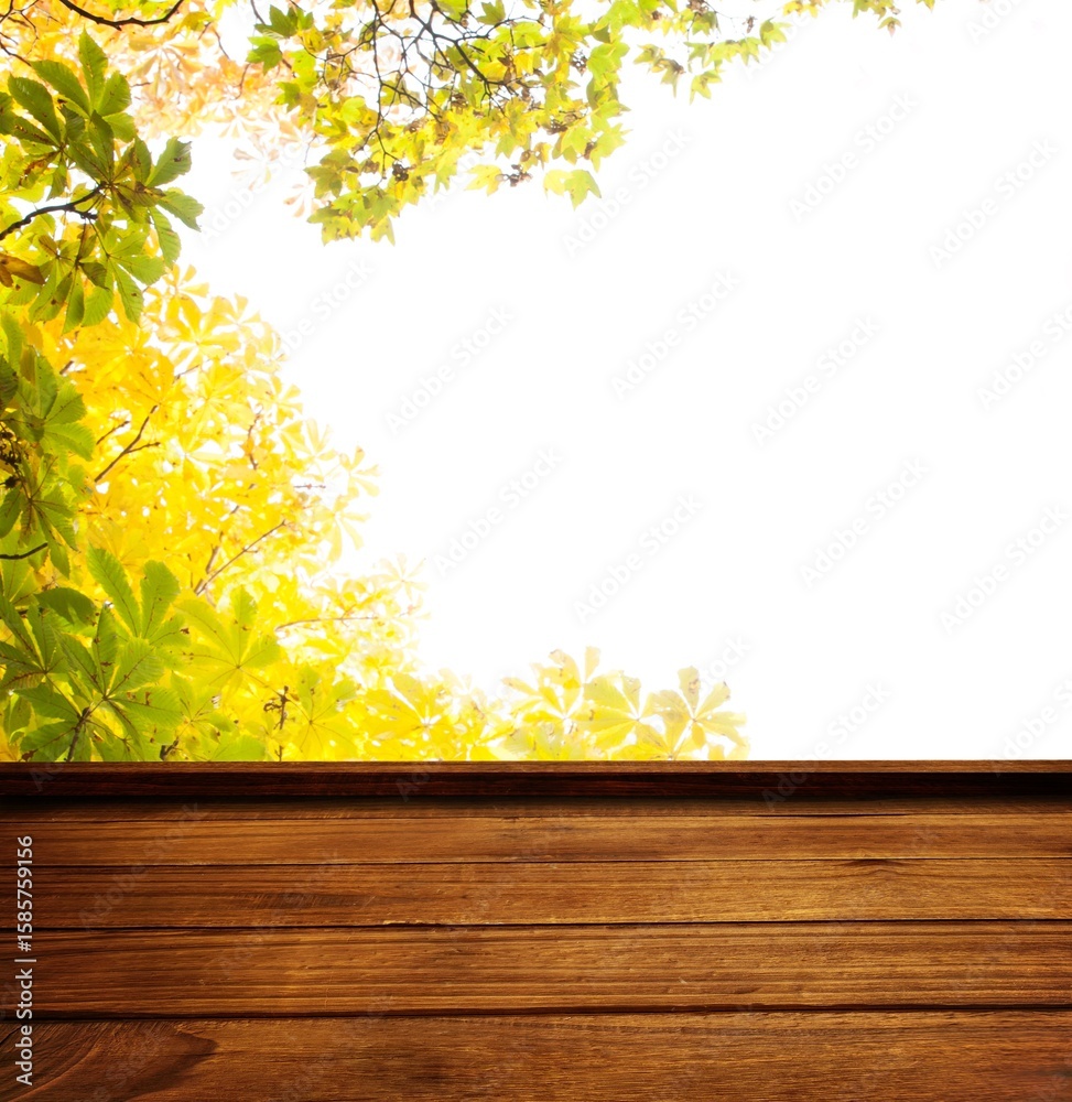 Naklejka premium Forest leaves against wooden planks