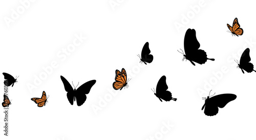 Elegant butterfly silhouettes and vibrant monarch butterflies flutter on white background