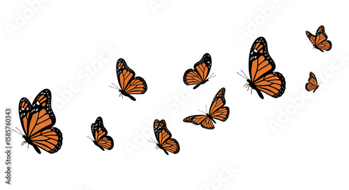 Graceful monarch butterflies soaring against a pristine white background creating a nature inspired design