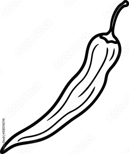 Dried chili pepper line art vector illustration